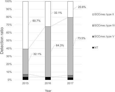 Increased Incidence and Plasma-Biofilm Formation Ability of SCCmec Type IV Methicillin-Resistant Staphylococcus aureus (MRSA) Isolated From Patients With Bacteremia